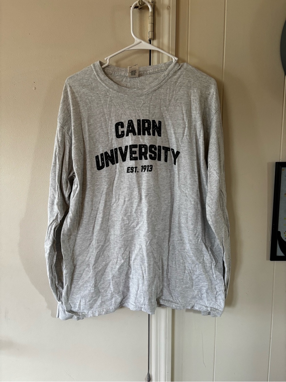 Gildan Gray Long-Sleeve Crewneck with Cairn University Print